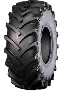 16.9-24/8 TT AS100
